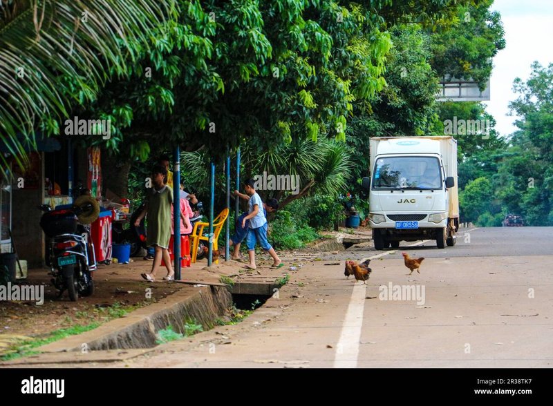 Chicken road in Spain